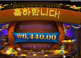 파일럿스 펍 8스핀