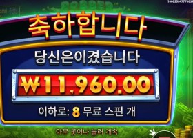 로버 스트라이크 스티키 픽