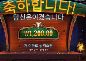 프라그마틱 카우보이 코인즈