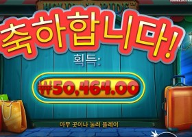 홀리데이 라이드 252배