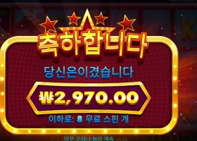 와일드 셀레브리티 버스 3천원