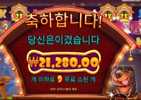 더 도그 하우스 멀티홀드