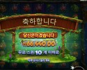 후르츠 오브 더 아마존 332배