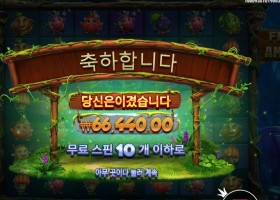 후르츠 오브 더 아마존 332배