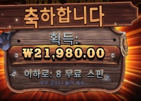 와일드 웨스트 골드 ２２천원