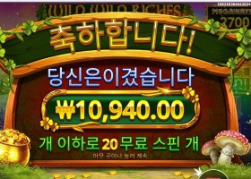 와일드 와일드 리치스 20스핀