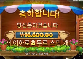 커피 와일드 후기