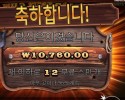 와일드 웨스트 골드 12스핀