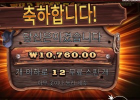 와일드 웨스트 골드 12스핀