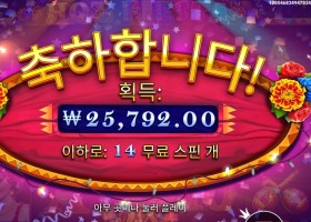 핫 피에스타 129배