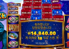 콩고 캐시 ＸＬ １８스핀