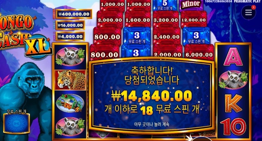 콩고 캐시 ＸＬ １８스핀