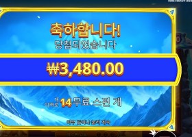 히말라얀 와일드