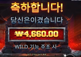 프라그마틱 포징 와일드