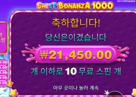 스위트 보난자 1000