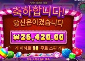 캔디 블리츠 밤즈 센세 한방