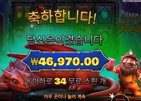 드워프 앤드 드래곤 235배