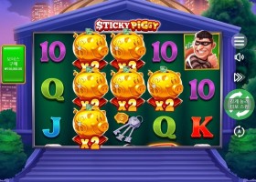 스티키피기 오늘 돼지 잘깔린다