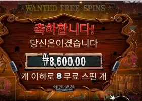 더 와일드 갱 ８스핀