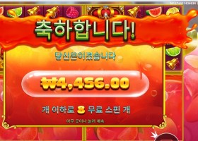 쥬시 후르츠 멀티홀드 8바퀴