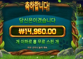 프라그마틱 팀버 스택스