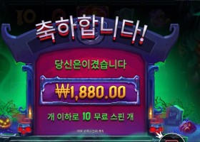 인펙티드 와일드 １０스핀