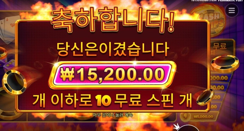 캐시 칩스 10스핀