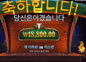 카우보이 코인즈 시위하니 ???