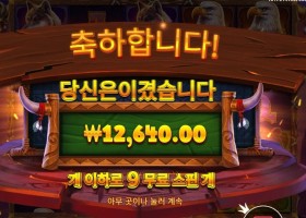 와일드 바이슨 차지 9스핀