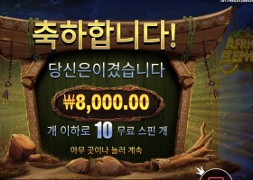 아프리칸 엘리펀트 후기