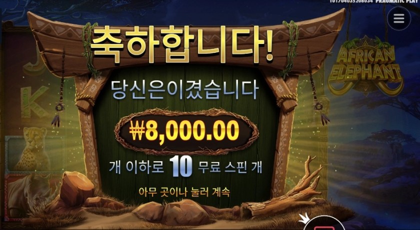 아프리칸 엘리펀트 후기