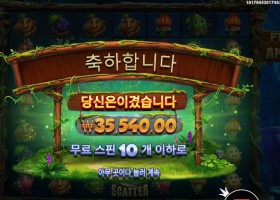 후르츠 오브 더 아마존 ３５천원