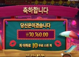 핀업 걸스 센세 한방