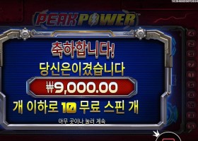 피크 파워 9천원