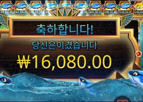 피시 아이 ４콩 배팅