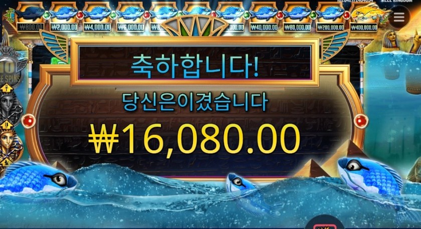 피시 아이 ４콩 배팅