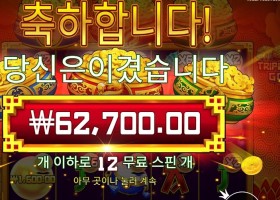 트리플 팟 골드 156배
