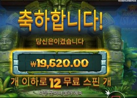 에이션트 아일랜드 19천원