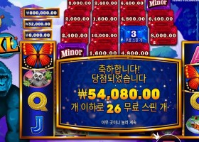 콩고 캐시 １３５배