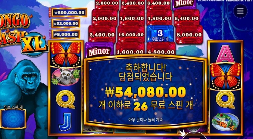 콩고 캐시 １３５배