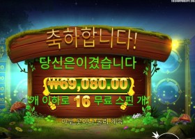 아이리시 크라운 69천원