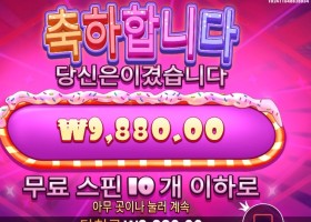 슈가 러시 다이스 1콩