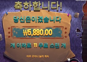 미스터리 마이스 5천원