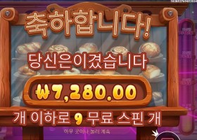 프라그마틱 와일디즈