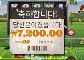 프론트 러너 20스핀