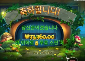 팟 오브 포춘 ３３천원