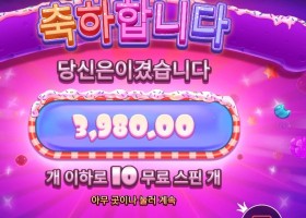 슈프림 파워넛지 １０스핀