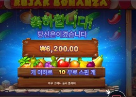 프라그마틱 루작 보난자 후기