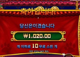 펫 판다 １０스핀