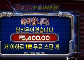 피크 파워 5천원